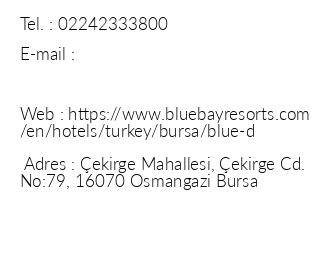 Blue Diamond Bursa Palace iletiim bilgileri